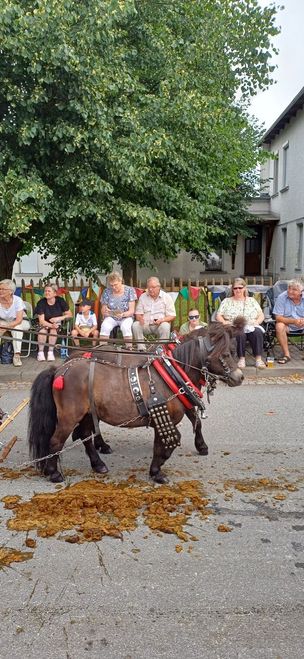 "Zur Pferdewirtin" Mattutat Ebersbach & Frenzelbräu Bautzen - Kutscher Mattu mit den stärksten Pferden der Welt. 