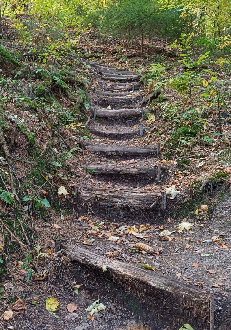Die Seilerstiege, ein relativ steiler Aufstieg mit Stufen, welcher Kondtion verlangt