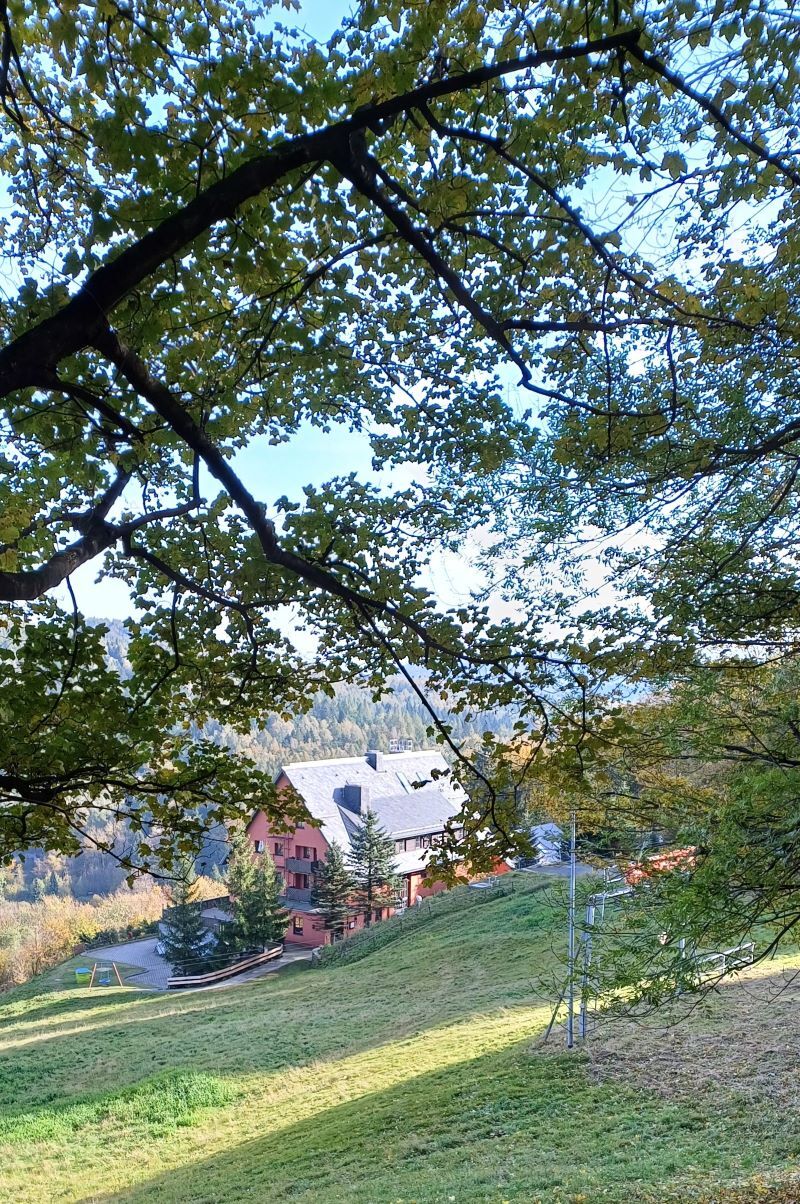 Blick zur Hubertusbaude