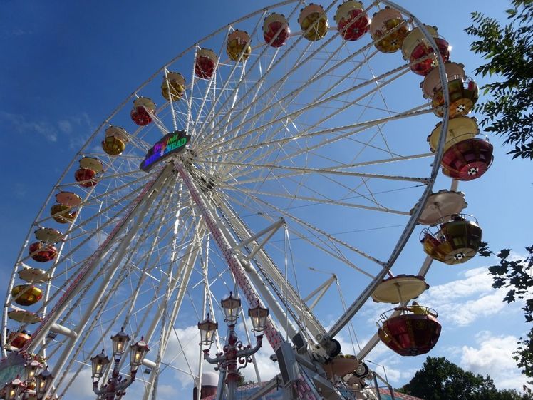 524943547-10161846775986325-8409264744145130639-n-1