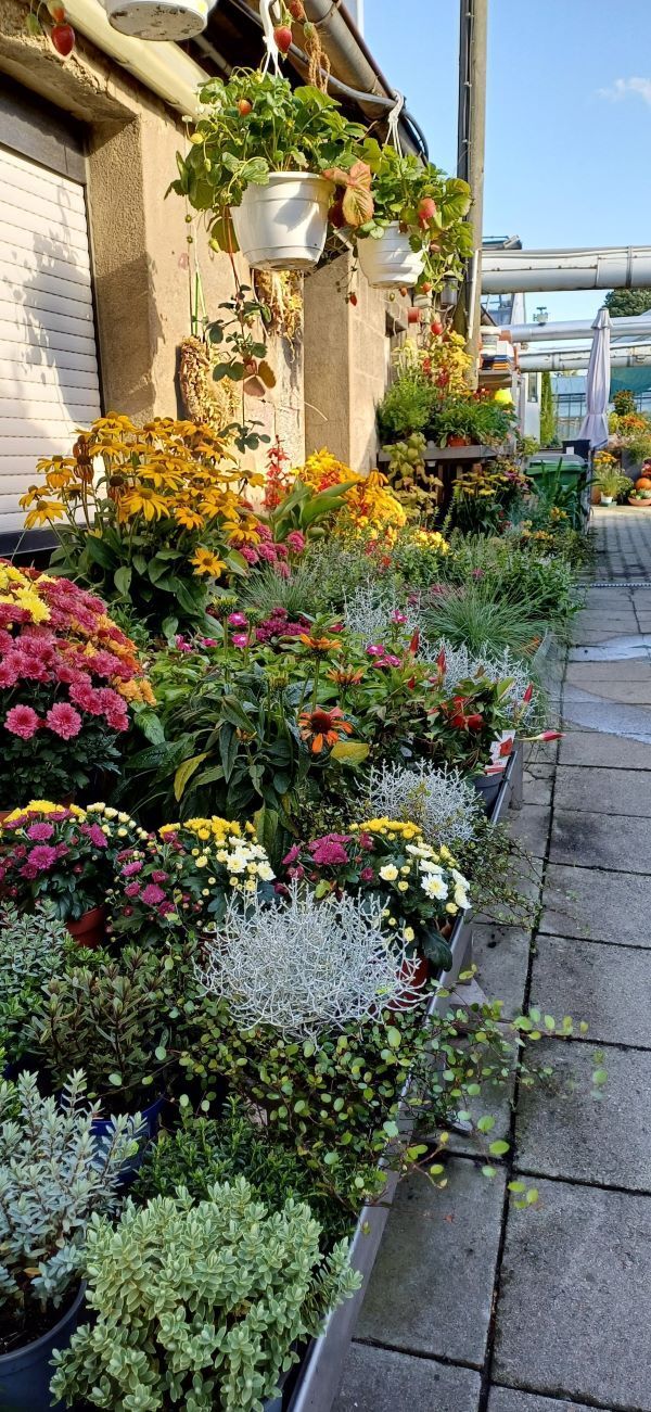 548402123-10162037718626325-885246881528881459-n-1