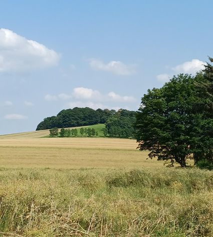 Blick zum Beckenberg