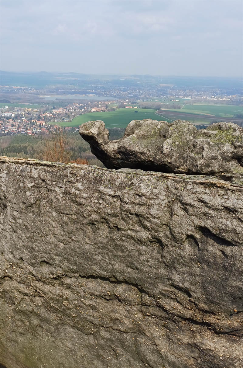 Die brütende Henne